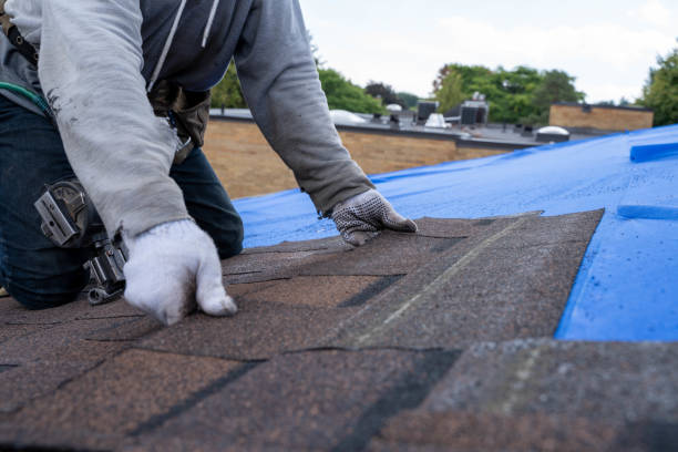Best Roof Maintenance Services  in Eupora, MS